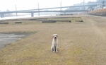 20150223_134548.jpg